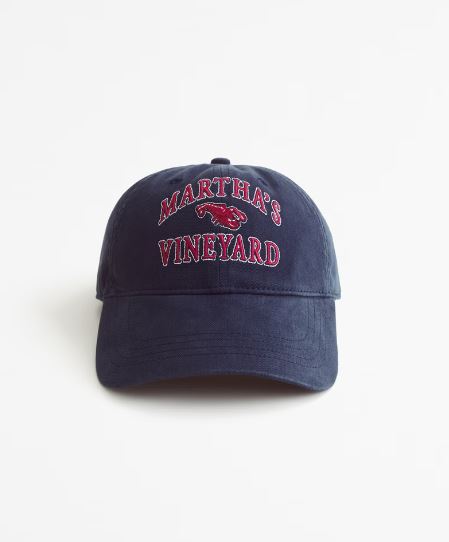Abercrombie & Fitch Embroidered Graphic Baseball Hat