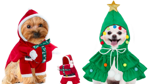 Cutest Dog and Pet Christmas Outfits