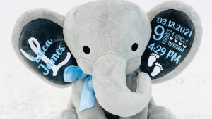 Baby Stuffed Elephant with Birth Details