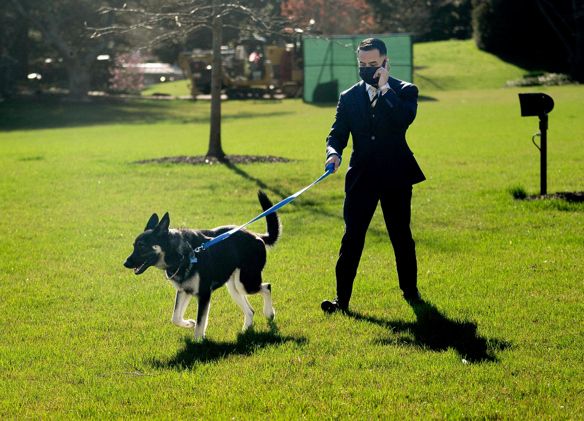 Famous Figures Who Found New Homes for Their Beloved Pets: Olivia Wilde, Raquel Leviss, and Beyond