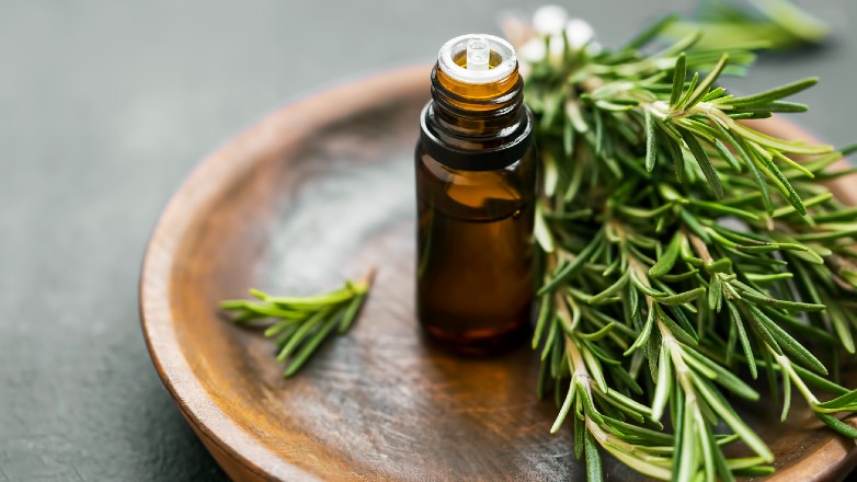 Best Rosemary Oil