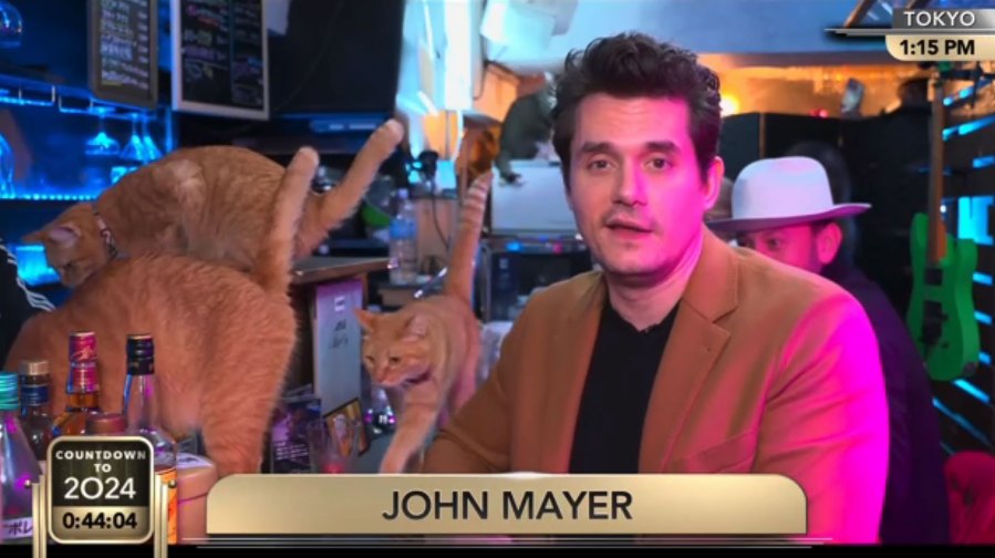 Anderson Cooper and Andy Cohen NYE Bash John Mayer Cat Cafe