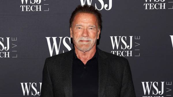 Arnold Schwarzenegger Was Detained at the German Airport for 3 Hours