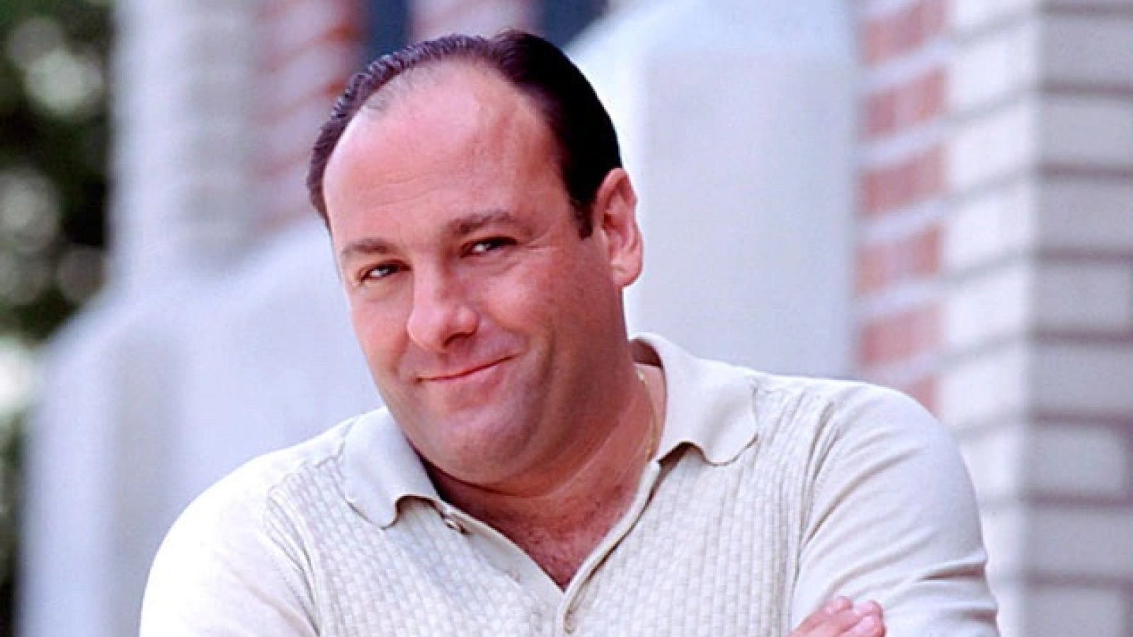 Did Tony Soprano Die in The Sopranos Revisiting the Series Finale