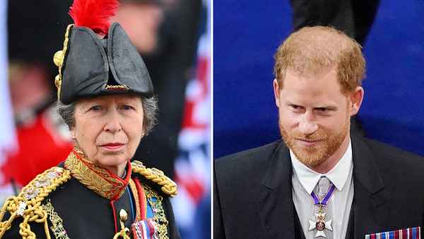 Princess Anne Hesitated to Wear the Huge Hat That Blocked Prince Harry s View at Coronation 762