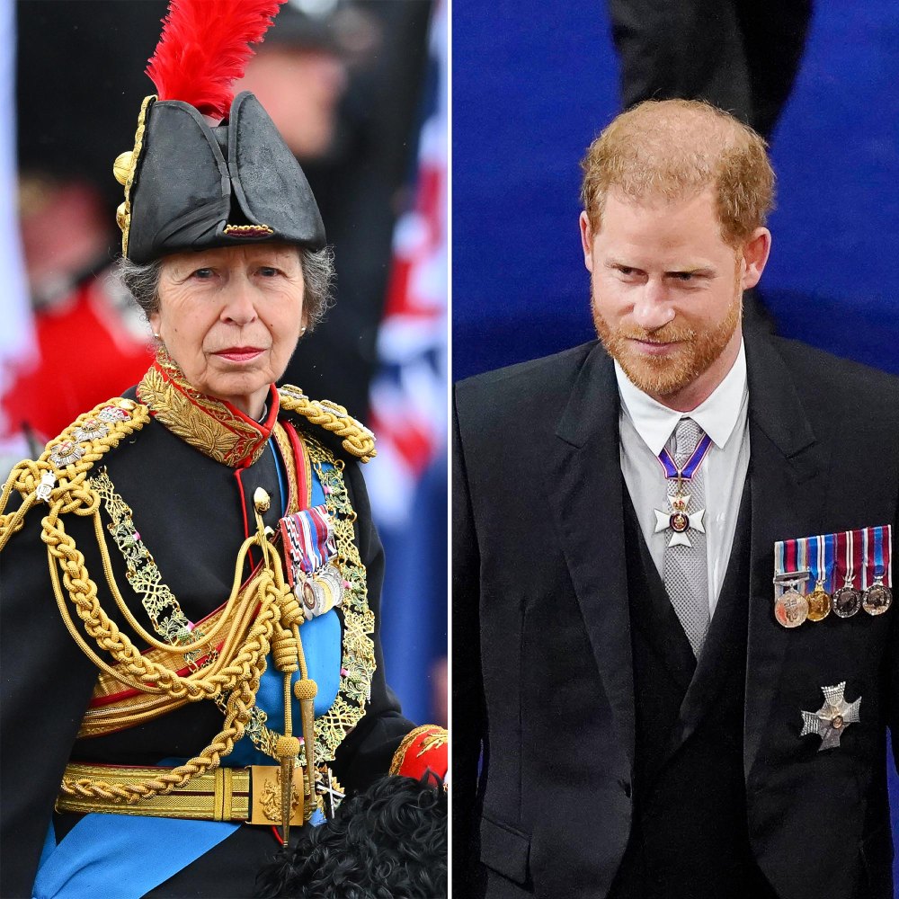 Princess Anne Hesitated to Wear the Huge Hat That Blocked Prince Harry s View at Coronation 762
