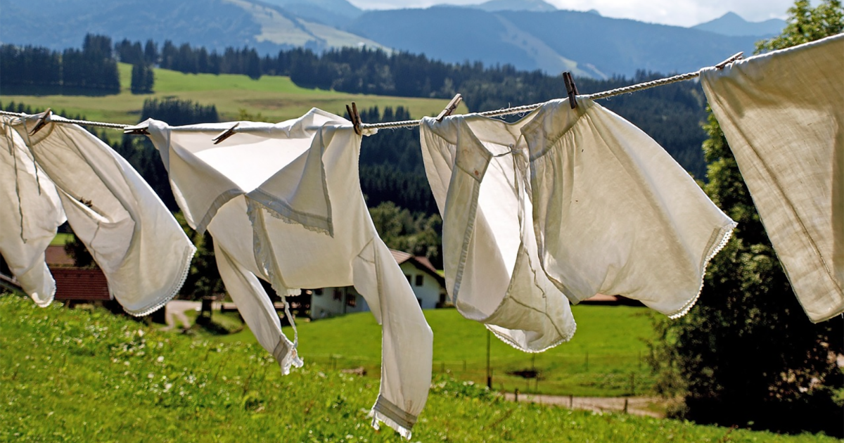 The 6 Best Detergents for White Clothes The 6 Best Detergents for White Clothes