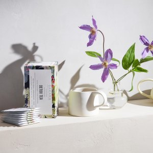 best-detoxes-2024