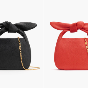 Cuyana Mini Bow Bag