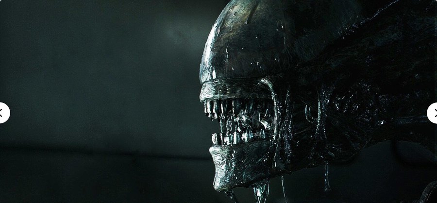 A Complete Guide to Every Horror Franchise Coming Back in 2024 419