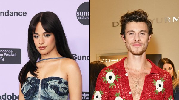 Camila Cabello Feels Confused and Lonely Following 2021 Split From Shawn Mendes