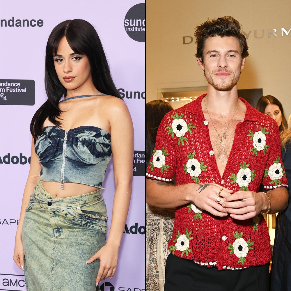 Camila Cabello Feels Confused and Lonely Following 2021 Split From Shawn Mendes