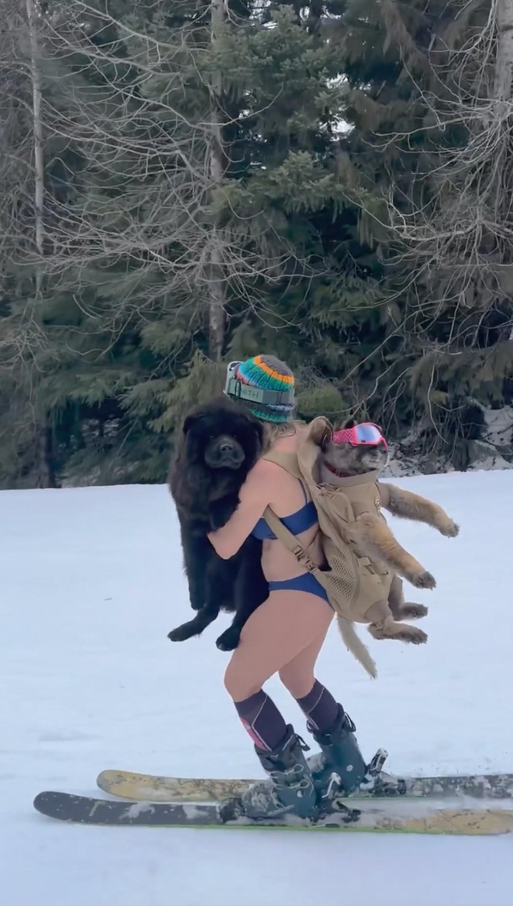 Chelsea Handler comemora seu aniversário esquiando de biquíni, segurando um baseado para cachorro e uma bebida