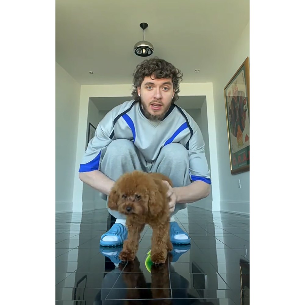 Jack Harlow Says He's Not Revealing His Dog's Name to Respect 'Her Privacy'