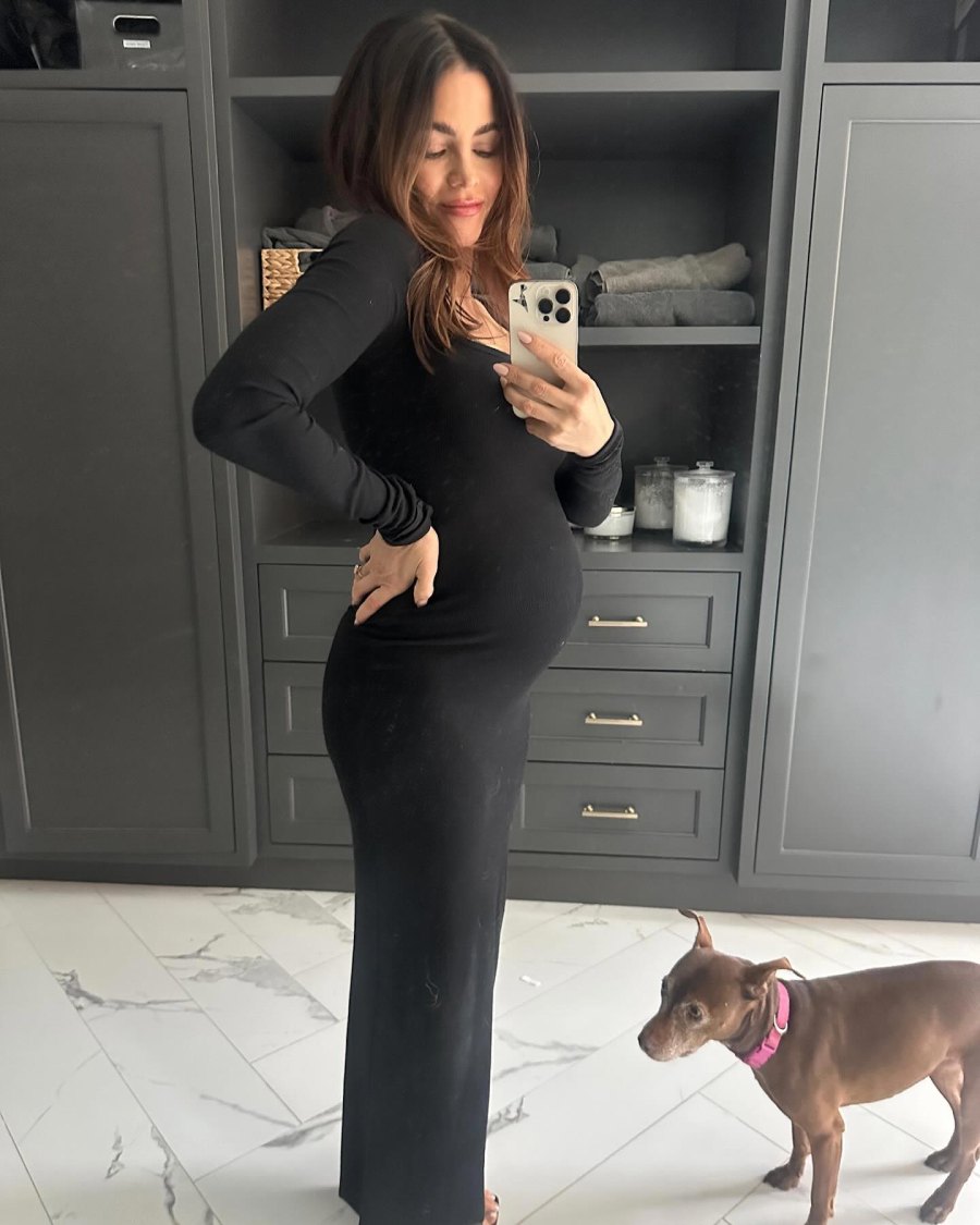Pregnant Celebrities’ Baby Bump Hall of Fame in 2024
