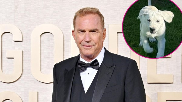 Kevin Costner Has a New Member of His Family a Puppy I m Already in Love With This Special GuyGettyImages-1917065161 371