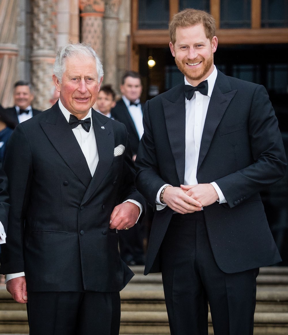 Prince Harry Breaks His Silence on King Charles III Cancer Diagnosis