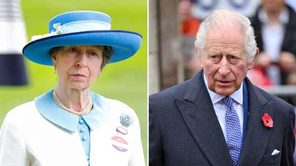 Princess Anne Fills in for Charles at Windsor Castle Ceremony