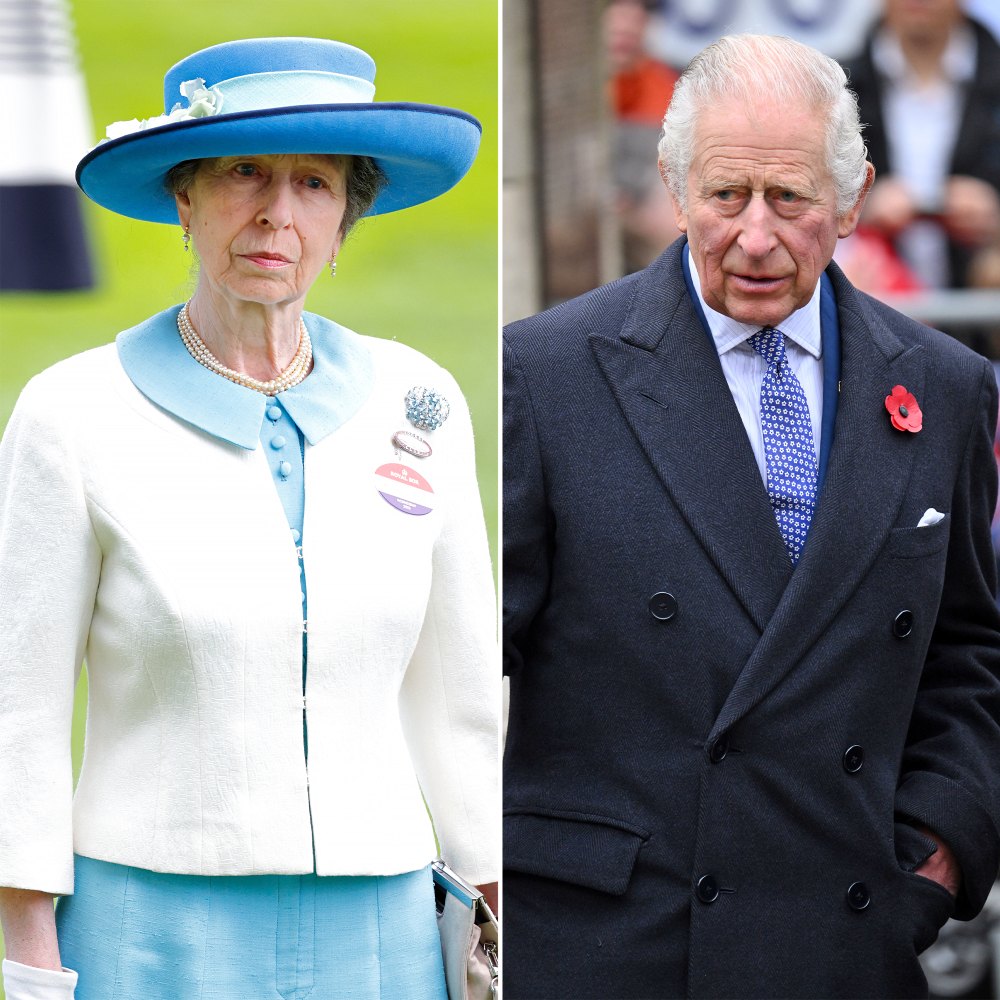 Princess Anne Fills in for Charles at Windsor Castle Ceremony