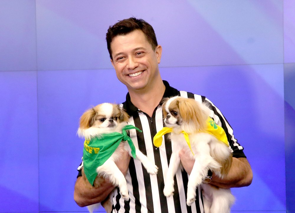 Puppy Bowl XX Rufferee Dan Schachner Brought Adoptable Dogs to Meet Us