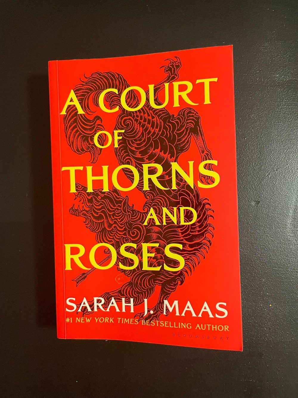 Sarah J Maas A Court of Thorns and Roses Show Adaptation Is No Longer in the Works at Hulu 090