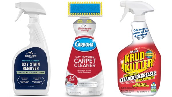Best Carpet Stain Removers