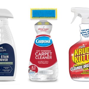 Best Carpet Stain Removers