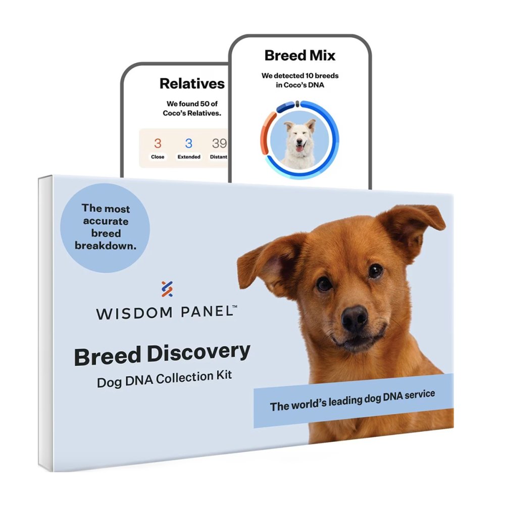 chewy-dog-dna-test-best-gifts-for-mothers-with-february-birthdays