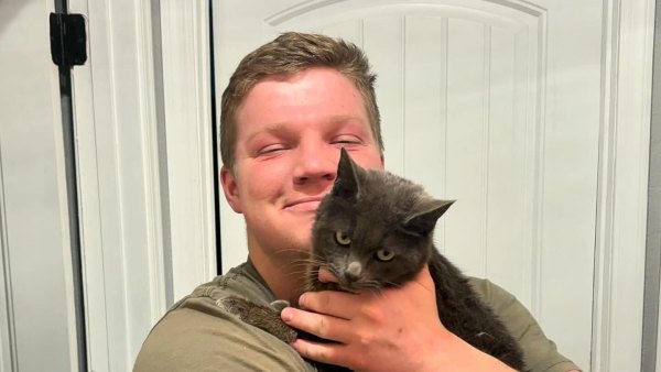 Garrison Announced He Adopted His 3rd Cat 5 Days Before Death 411