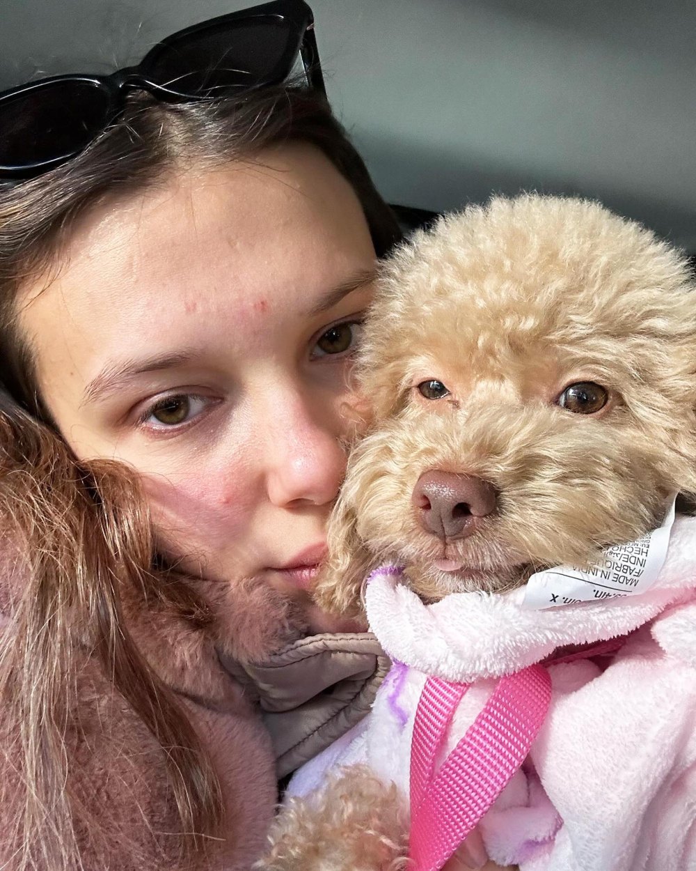 Millie Bobby Brown reveals she owns nine dogs and raises another 23.  It's so much fun