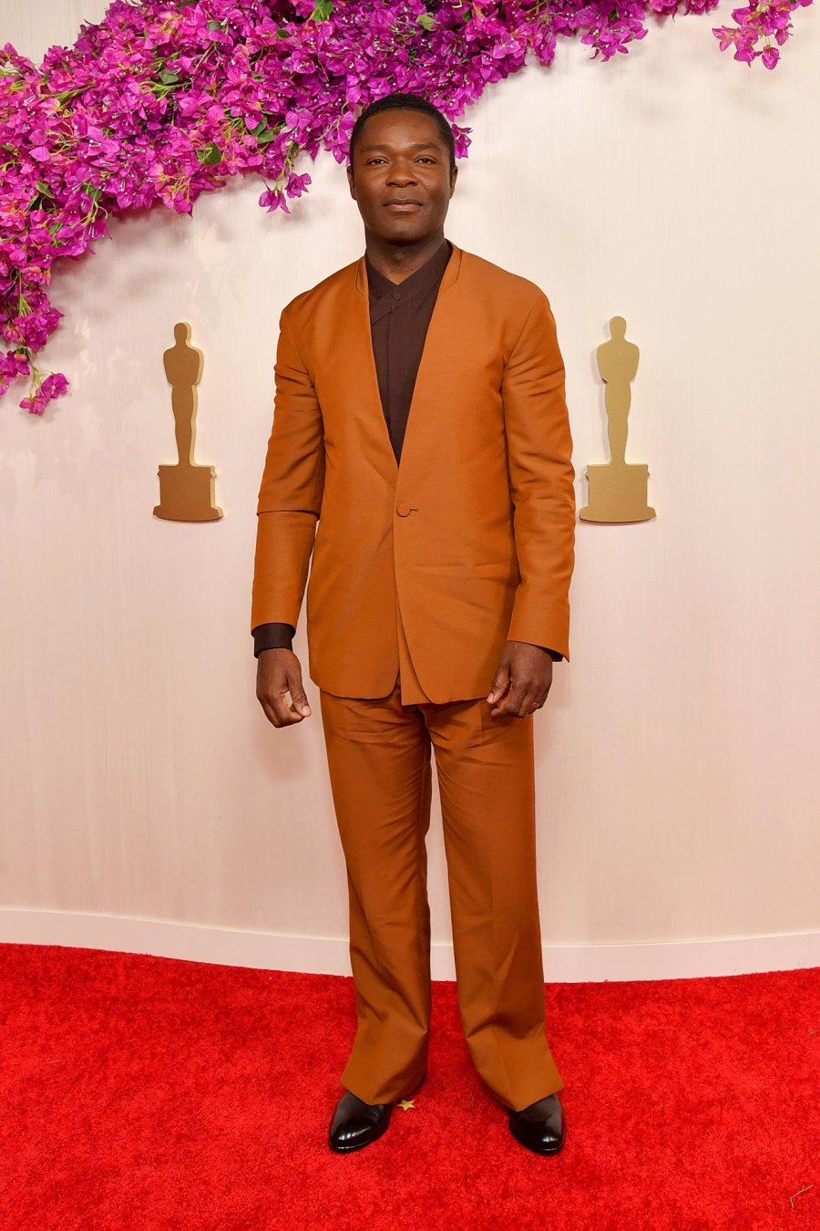 Oscars 2024 Red Carpet 96th Annual Academy Awards Arrivals 809 David Oyelowo