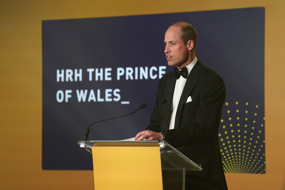 Prince Harry Calls Diana Legacy Award Winners After William Appearance 3