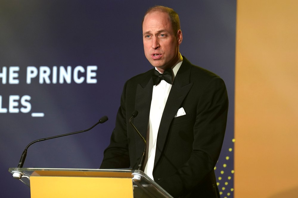 Prince William and Prince Harry Separately Honor Late Mother Princess Diana at Diana Legacy Awards