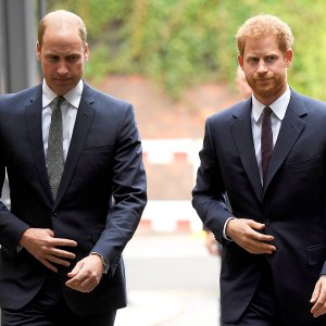 Prince William and Prince Harry Will Appear Separately at Event in Late Mother Princess Diana's Name