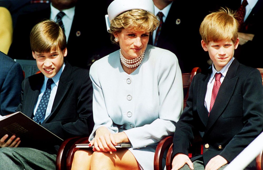 Prince William and Prince Harry Will Appear Separately at Event in Late Mother Princess Diana's Name