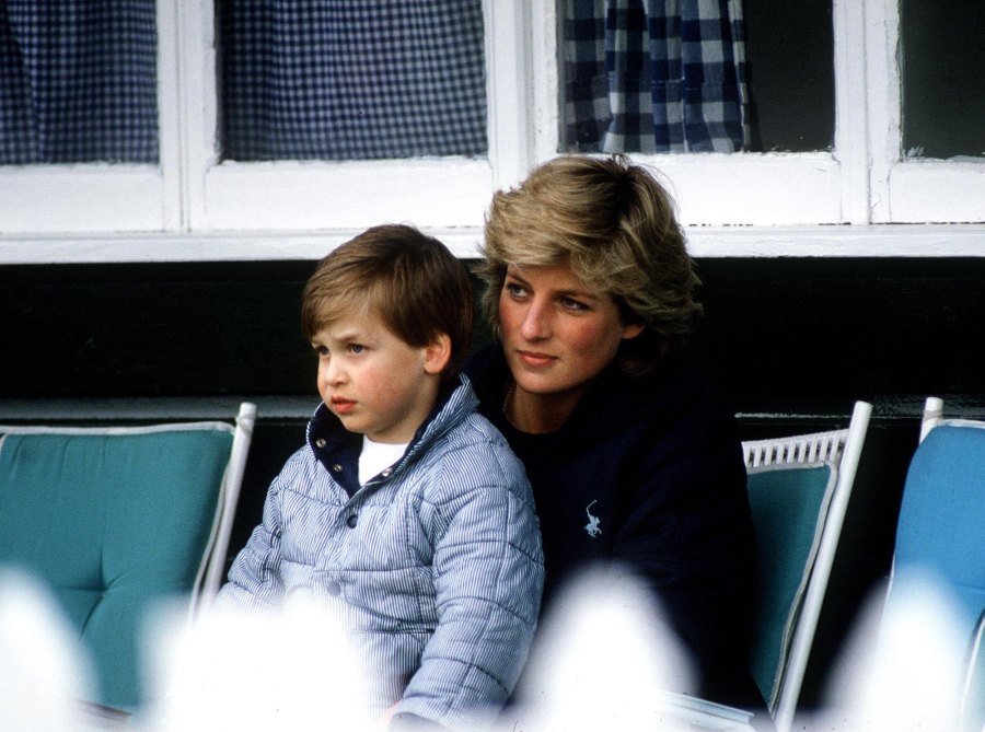 Princess Diana s Family Guide From Her 3 Siblings to Sons Prince William and Prince Harry 611