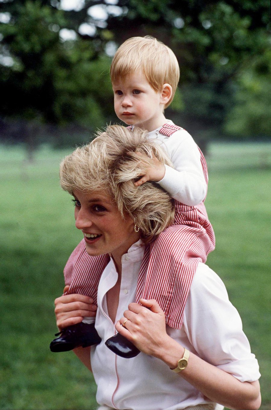Princess Diana s Family Guide From Her 3 Siblings to Sons Prince William and Prince Harry 613