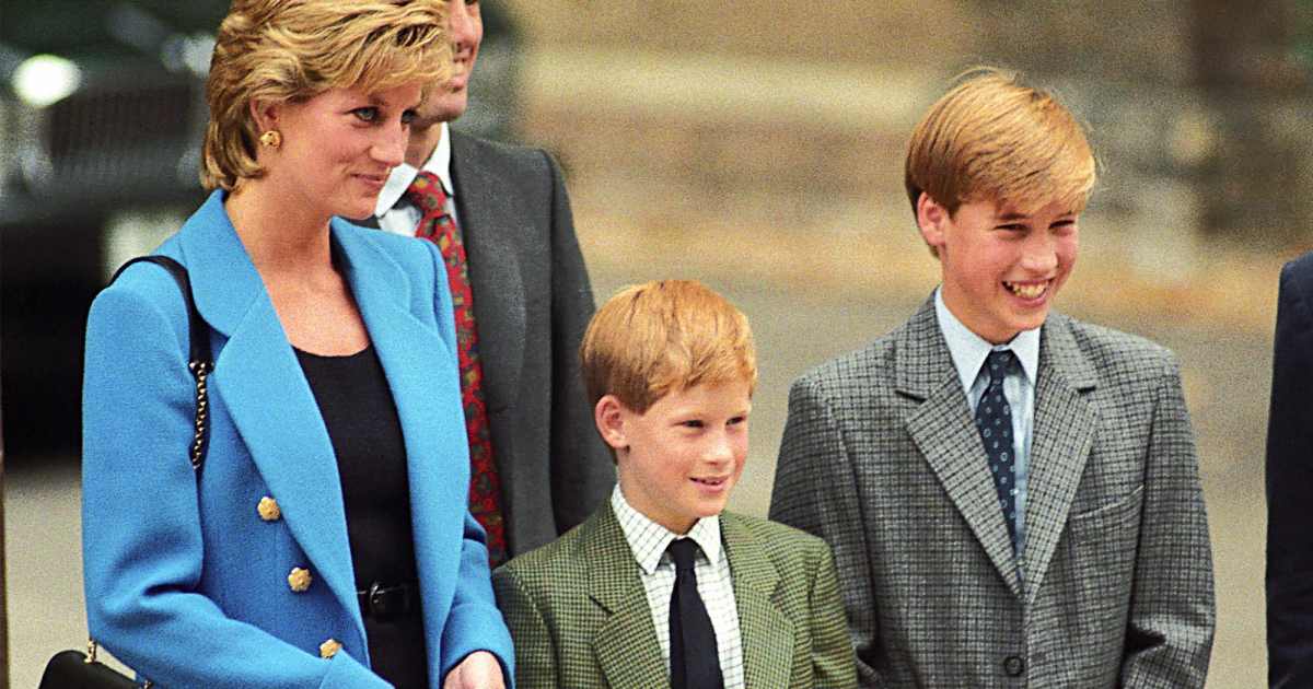 Princess Diana’s Family Guide: Siblings, Sons, More Princess Diana’s Family Guide: Siblings, Sons, More