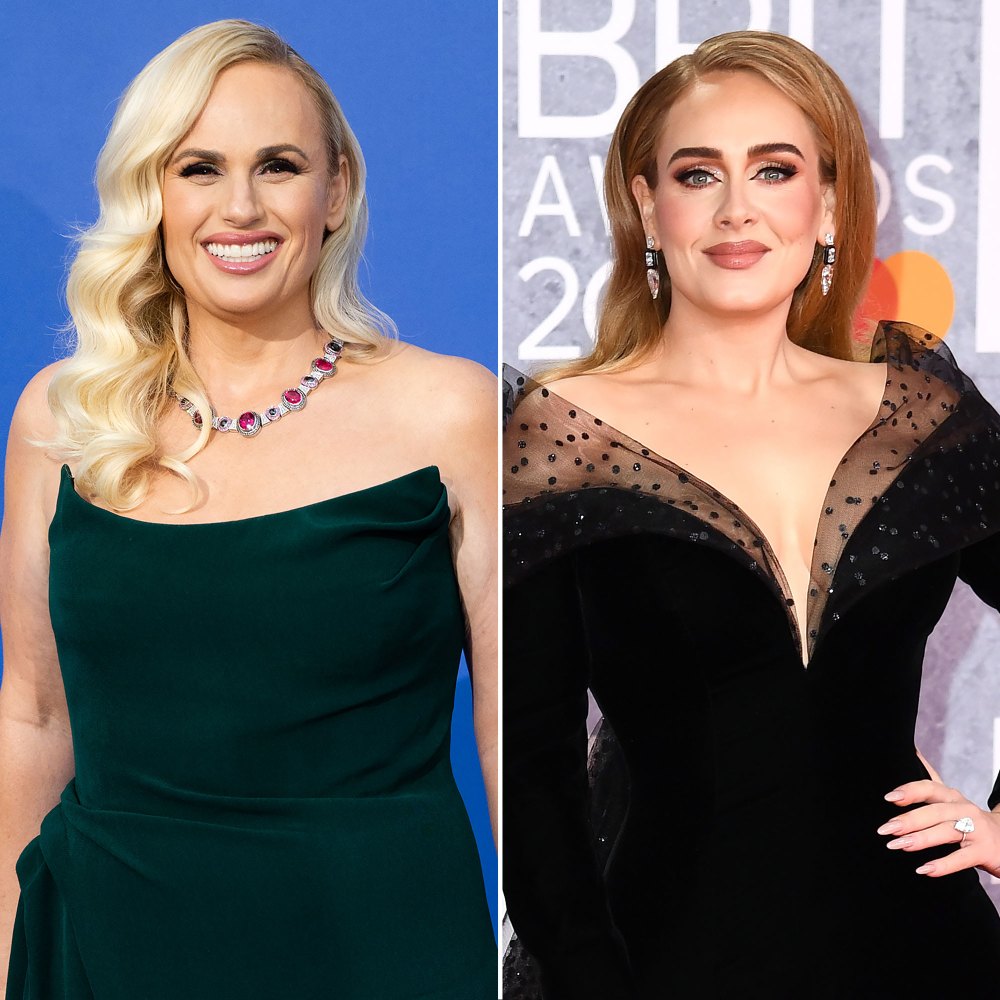 Rebel Wilson Thinks Adele Hates Her Because People Would Confuse Us Due to Their Weights