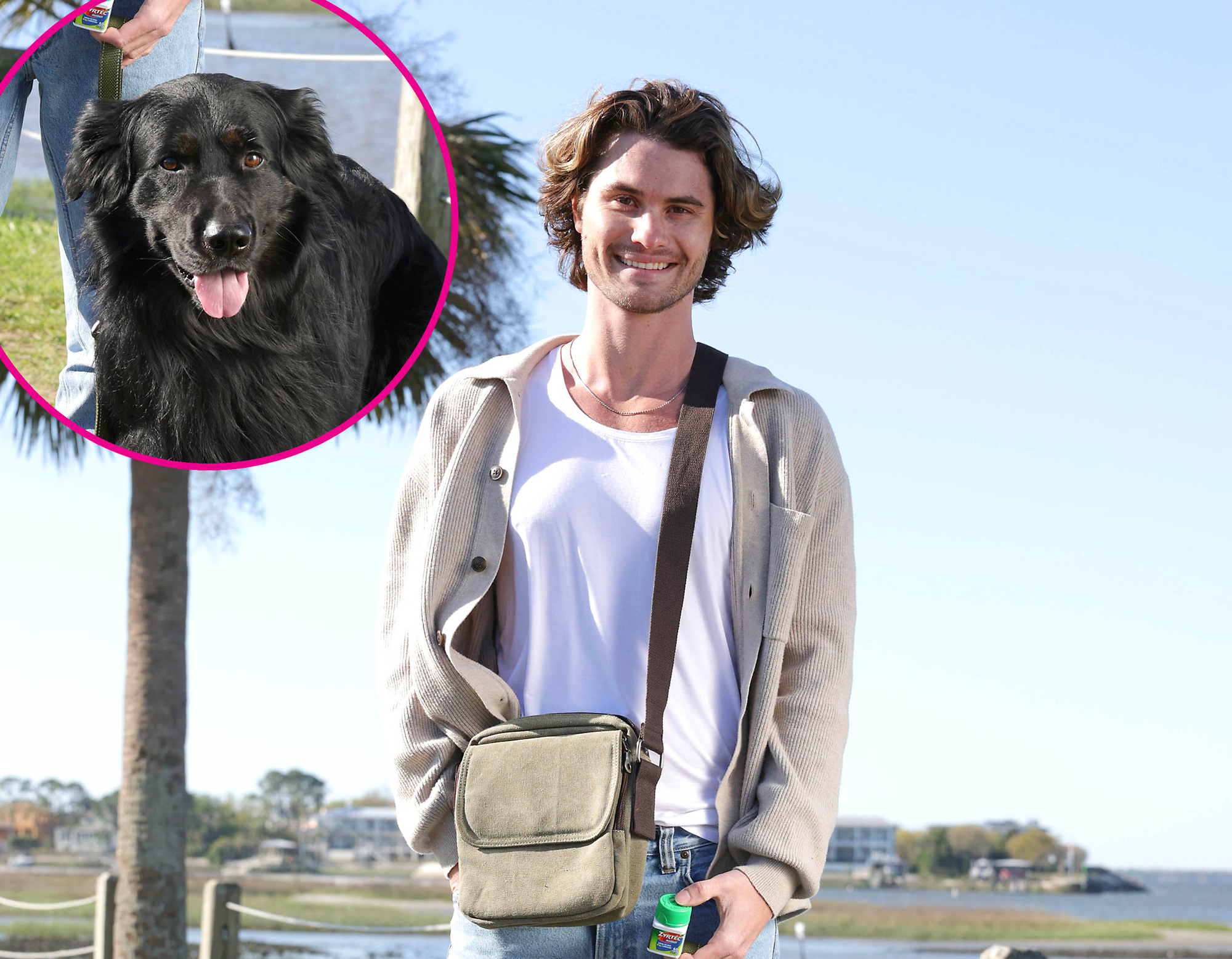See Chase Stokes and More Hollywood Heartthrobs Walking Their Dogs