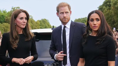 Where do Prince Harry and Meghan stand alongside William and Kate Middleton during their battle with cancer?  445