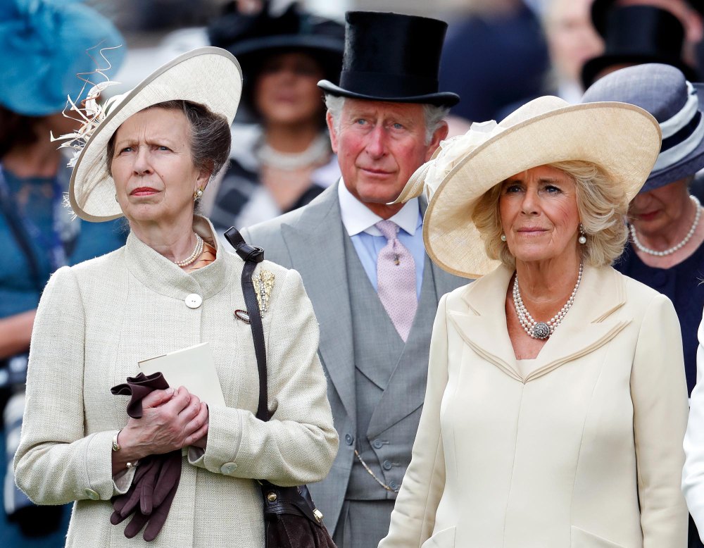 Why Is Princess Anne the Only Royal Stepping in for the King Amid Kate s Health 169