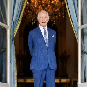 Why Is Princess Anne the Only Royal Stepping in for the King Amid Kate s Health 170