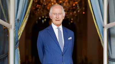 Why Is Princess Anne the Only Royal Stepping in for the King Amid Kate s Health 170
