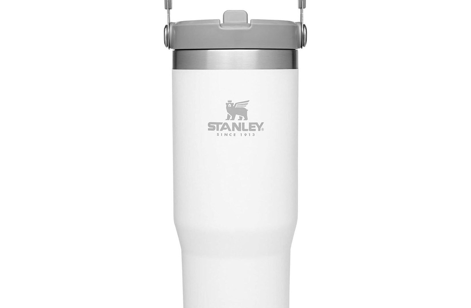 Act Fast — This Stanley IceFlow Tumbler Is on Sale!