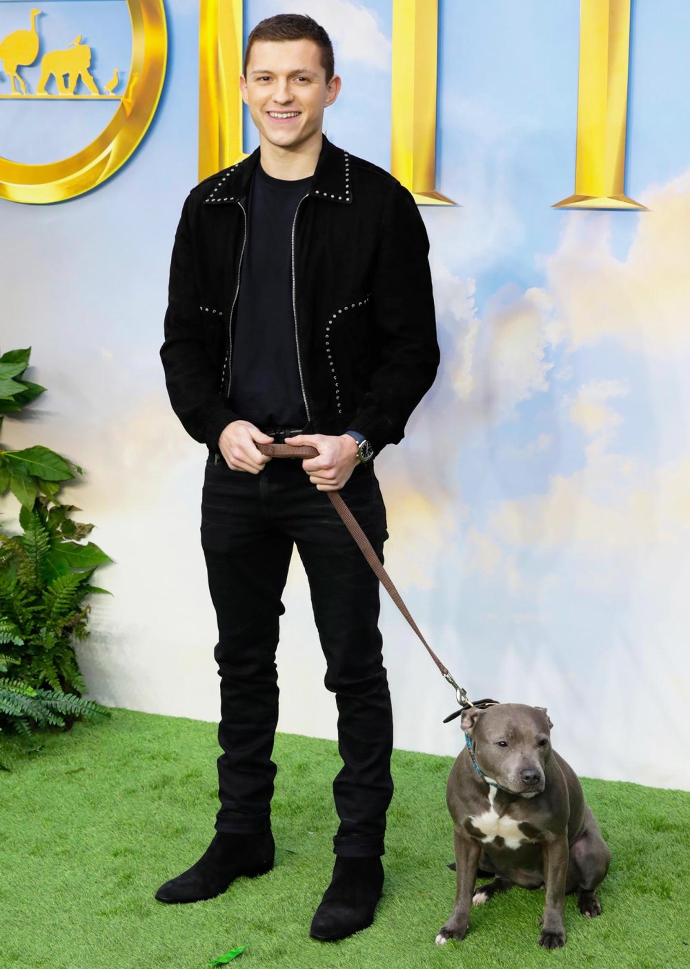 Tom Holland Mourns Death of Family Dog Tessa