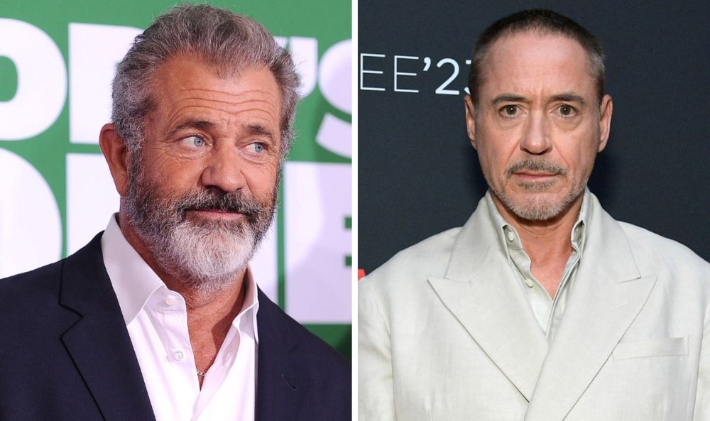 Mel Gibson and Robert Downey Jr need each other to exist