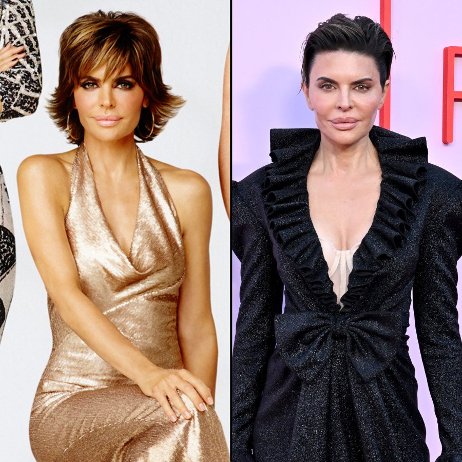 Former Real Housewives of Beverly Hills Stars Where Are They Now Lisa Rinna_ 197