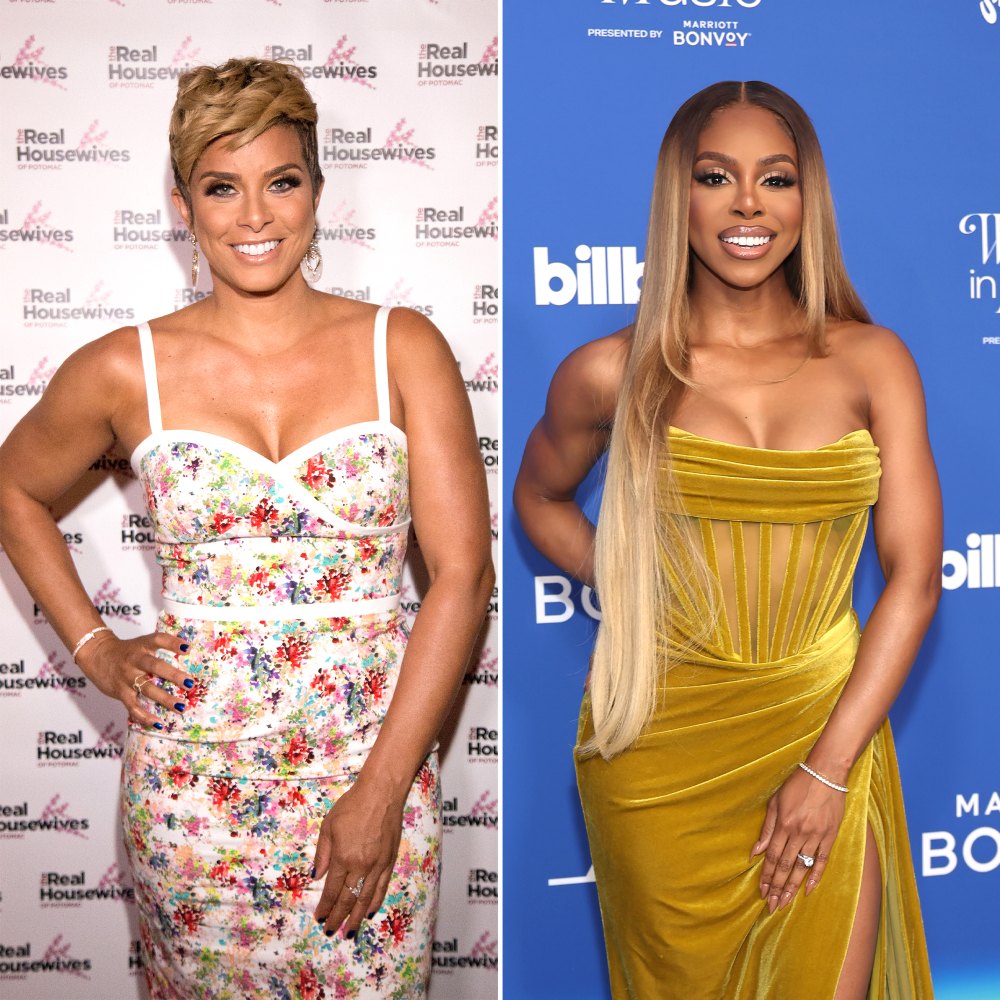 Former Real Housewives of Potomac Stars Where Are They Now