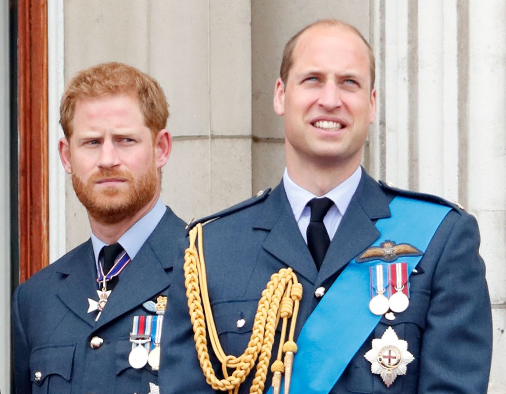 Prince Harry's bitter estrangement with his older brother Prince William could prove a major problem for the future king